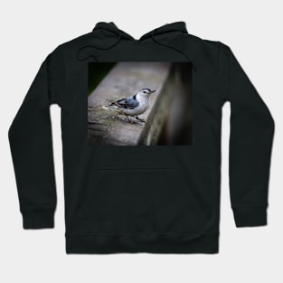 Nuthatch Close-up Hoodie